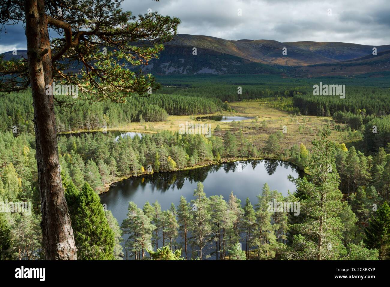 Elivated view over Uath Lochan looking towards the Cairngorms massif in the Scottish Highlands Stock Photo