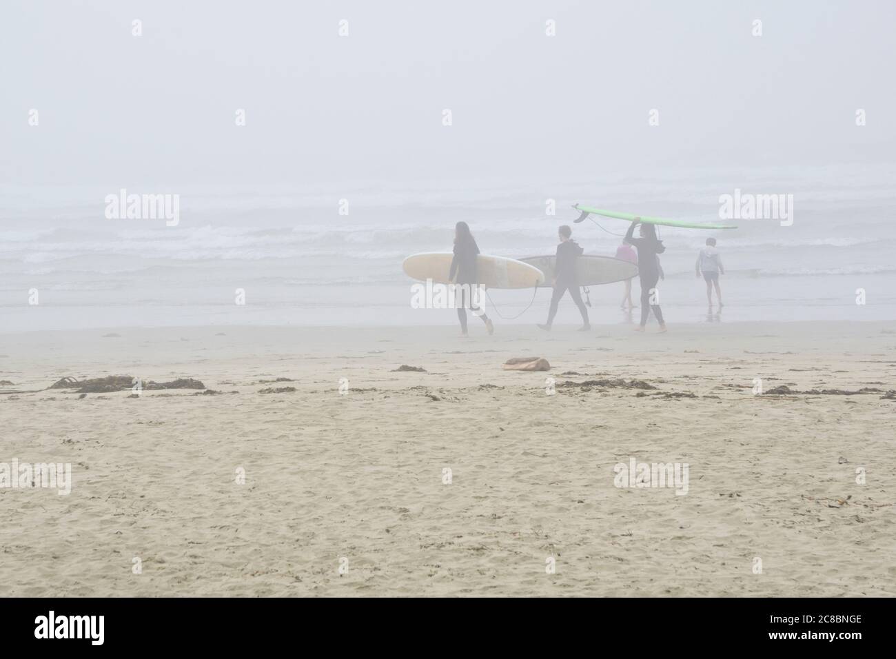 Group of young people heading out to surf on a foggy day at Wickaninnish Beach on Long Beach on the West Coast of Vancouver Island in Canada. Stock Photo