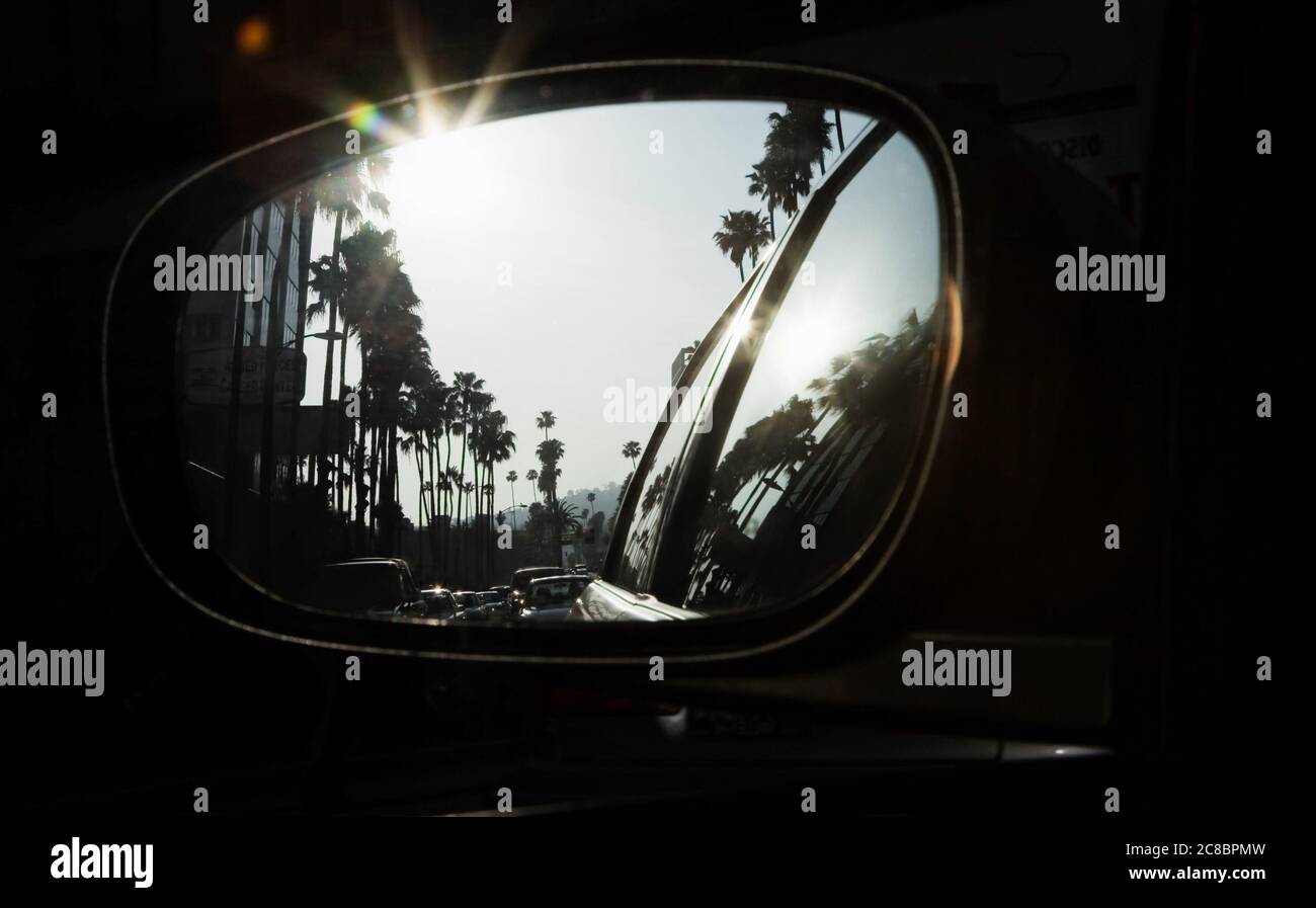 Palm trees reflecting in car mirror Stock Photo