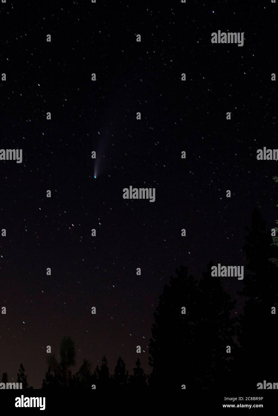 Long Barn, California, U.S.A. 23rd July, 2020. The C/2020 F3 (NEOWISE) or Comet NEOWISE can be