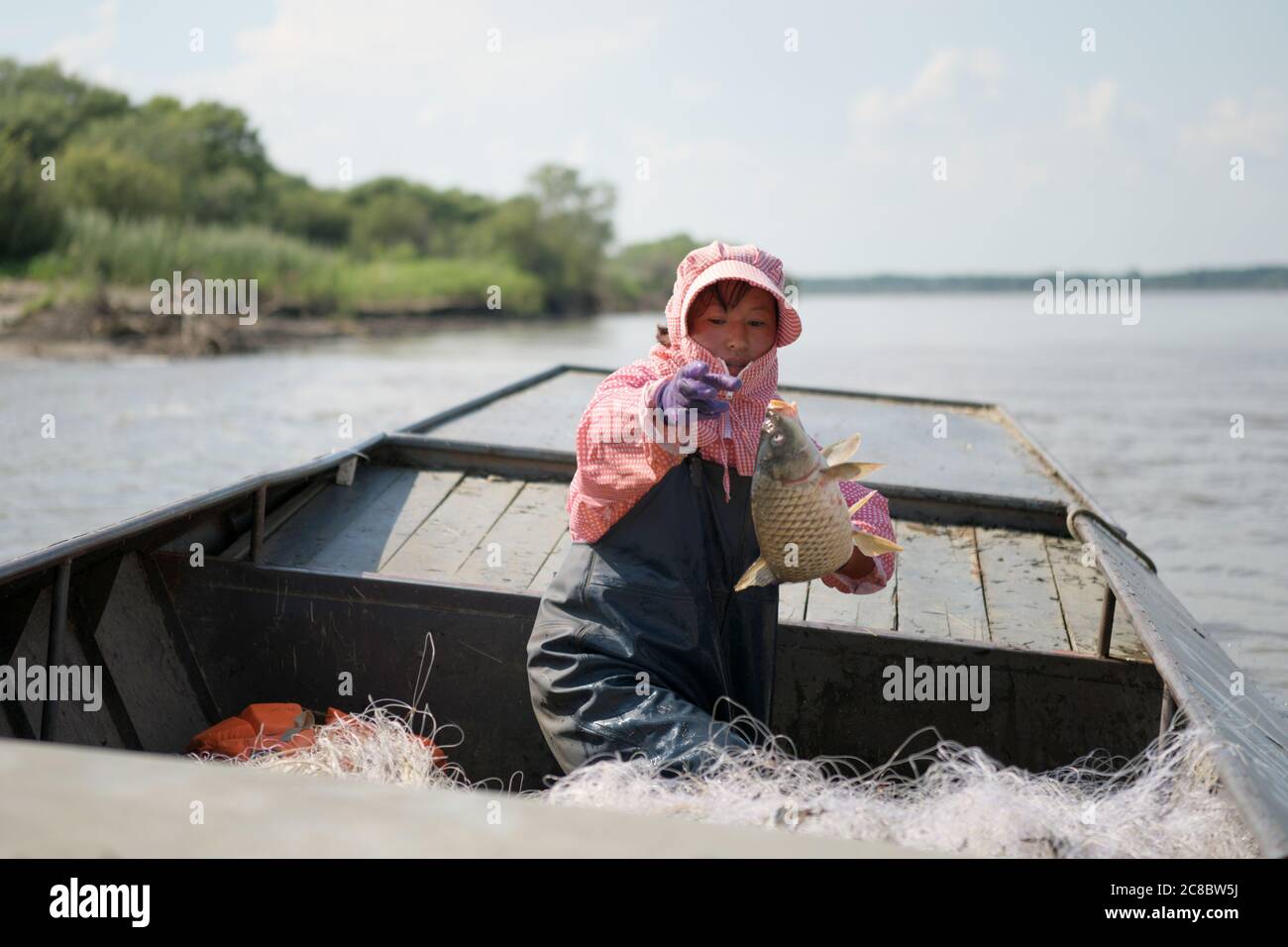 (200723) -- TONGJIANG, July 23, 2020 (Xinhua) -- A fisherwoman throws fish into the boat in Bacha Village, Tongjiang City of northeast China's Heilongjiang Province, July 22, 2020. Bacha Village, dominated by people of Hezhe ethnic minority, has led a way of poverty relief through developing economy suited to local conditions. All the 14 registered poor families have shaken off poverty. The per-capita disposable income of villagers has been raised to 22,150 yuan (about 3,168 US dollars) in 2019 from 16,102 yuan (about 2,303 US dollars) in 2015. (Xinhua/Wang Jianwei) Stock Photo
