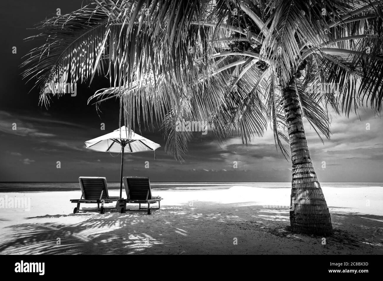 Dramatic landscape of paradise tropical island beach with perfect sunny sky, artistic black and white process Stock Photo