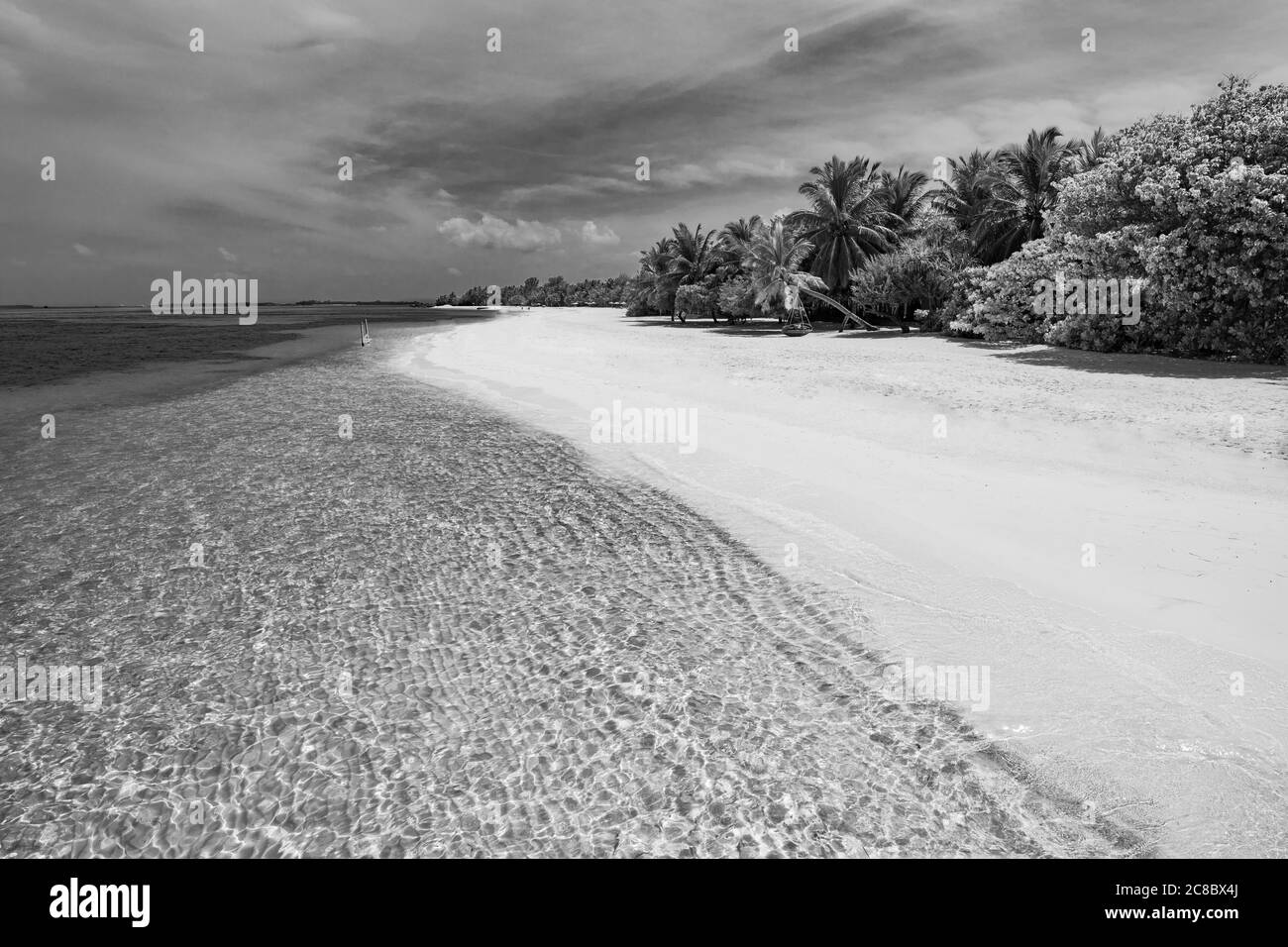 Dramatic landscape of paradise tropical island beach with perfect sunny sky, artistic black and white process Stock Photo