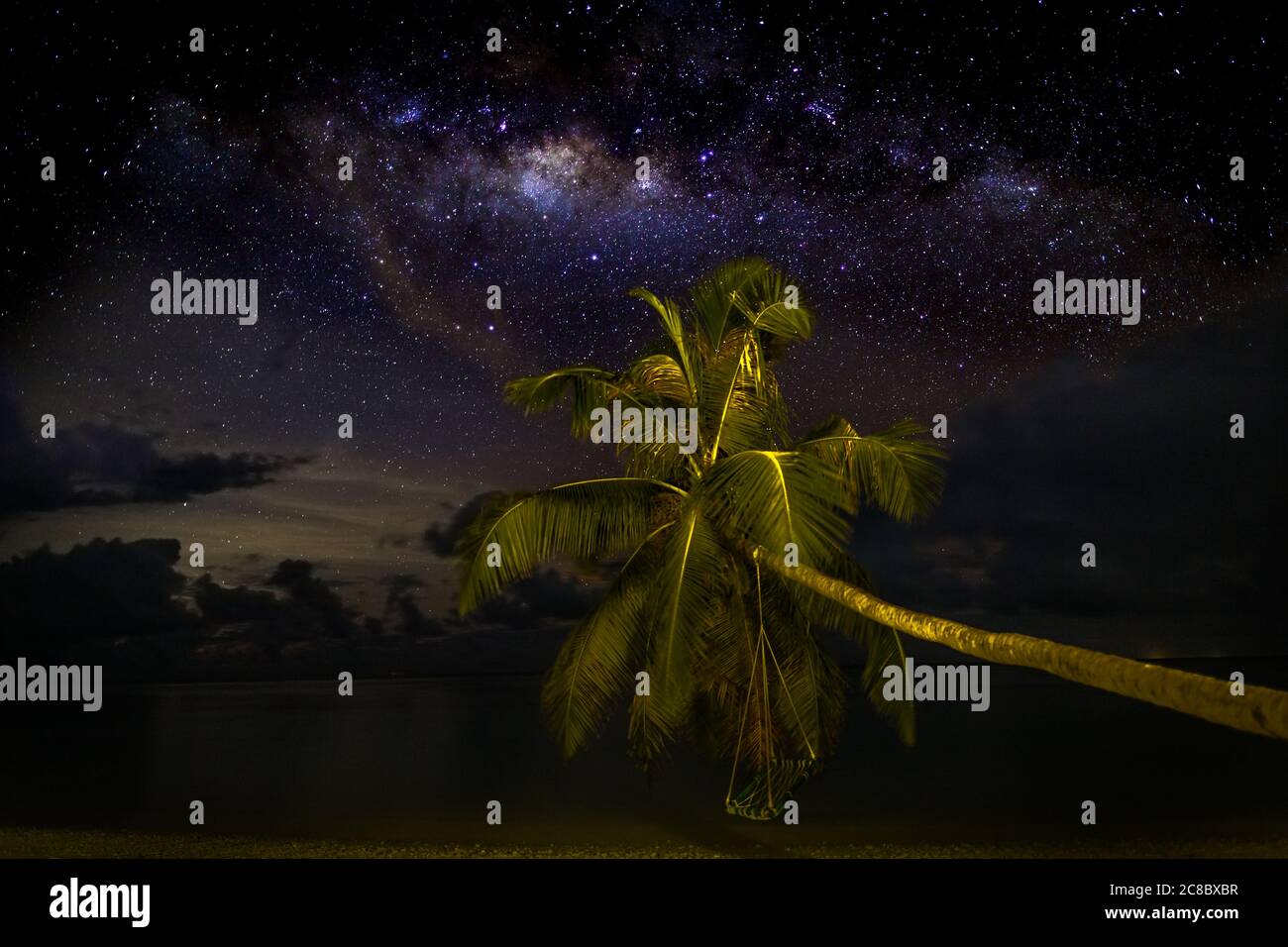 Night shot with palm trees and milky way in background. Palm trees under the stars. Exotic night view, milky way and beautiful night sky Stock Photo
