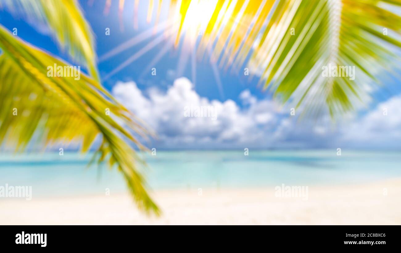 Bright Summer
