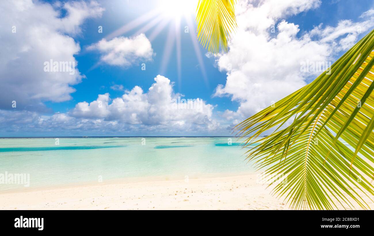 Sun Rays Tropical Luxury on beach. Amazing seascape, palm leaves under blue sky with sun ...