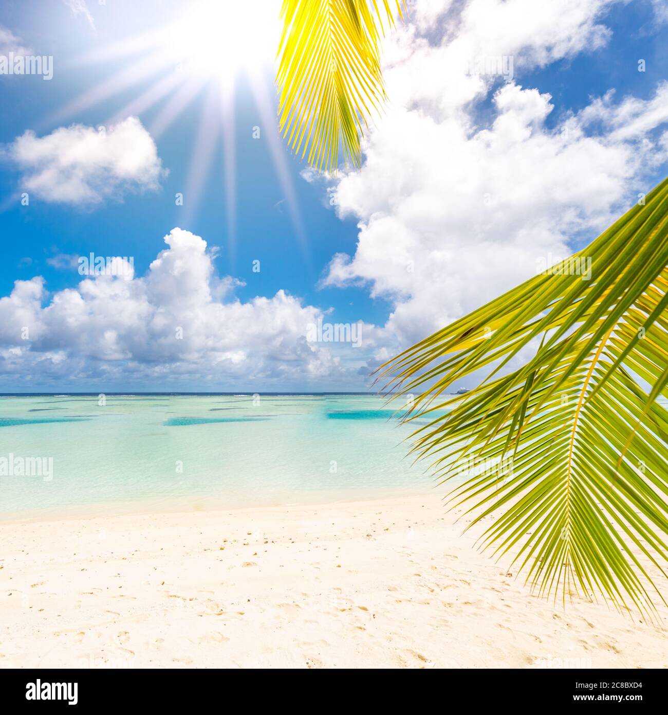 Sun Rays Tropical Luxury on beach. Amazing seascape, palm leaves under blue sky with sun ...