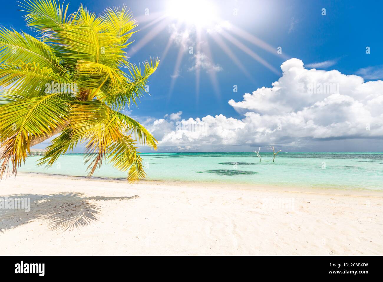 Sun Rays Tropical Luxury on beach. Amazing seascape, palm leaves under blue sky with sun ...