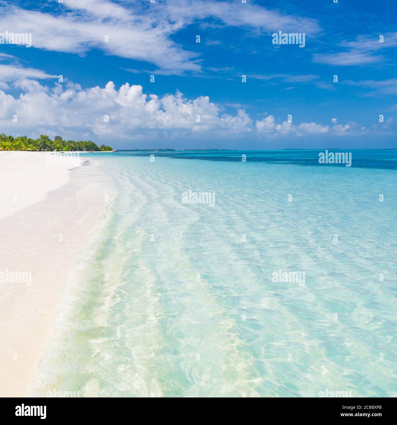Beach season in luxury summer island. Paradise landscape concept, calm sea, white sand, palm trees. Luxury at beach. Relaxing vibes, holiday travel Stock Photo