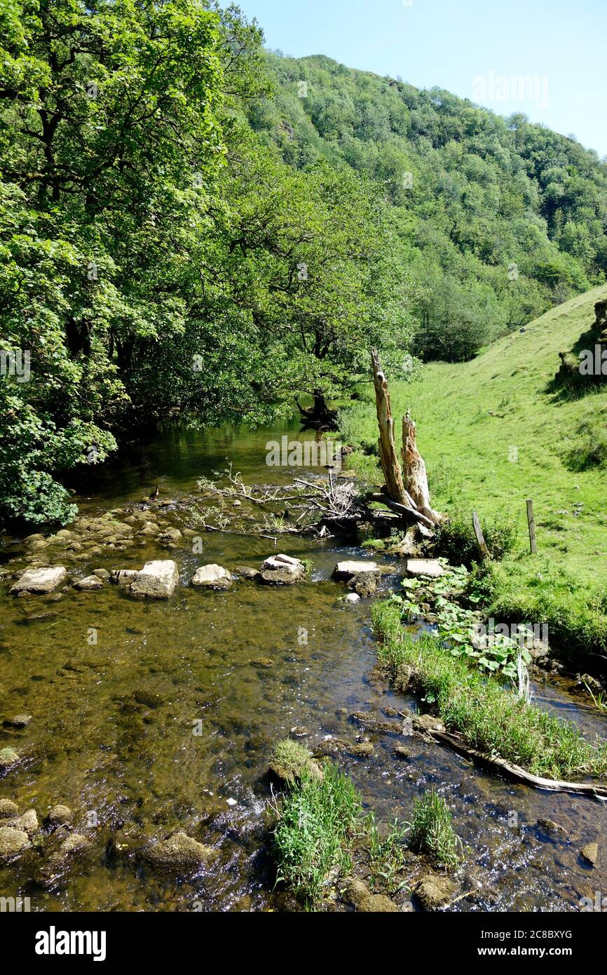 Stepping Stones Across The River Dove, Wolfscote Dale, Derbyshire Dales, Peak District National Park, Derbyshire, England, UK in June Stock Photo
