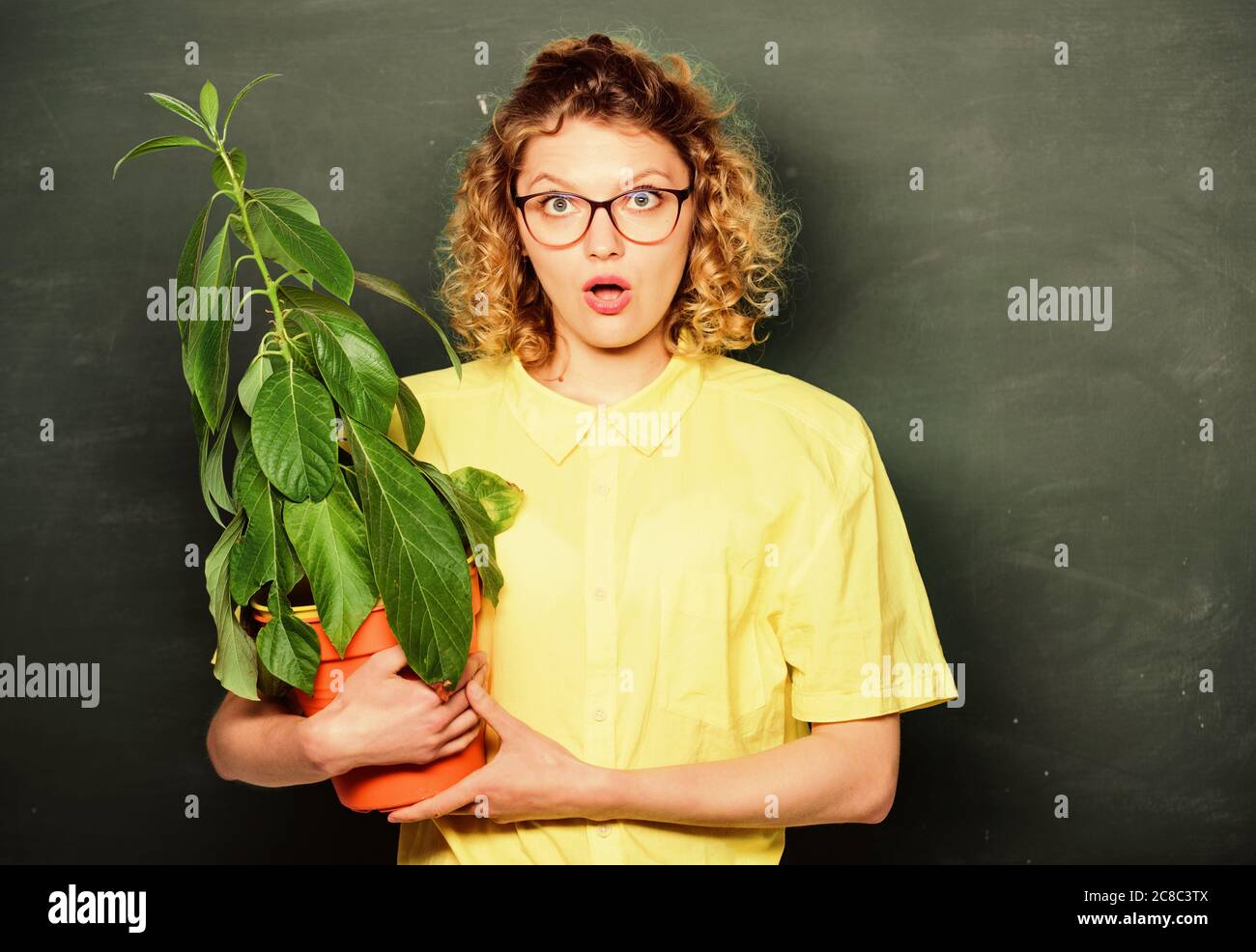 Greenery benefits. Botany and biology lesson. Botanical expert. Botany