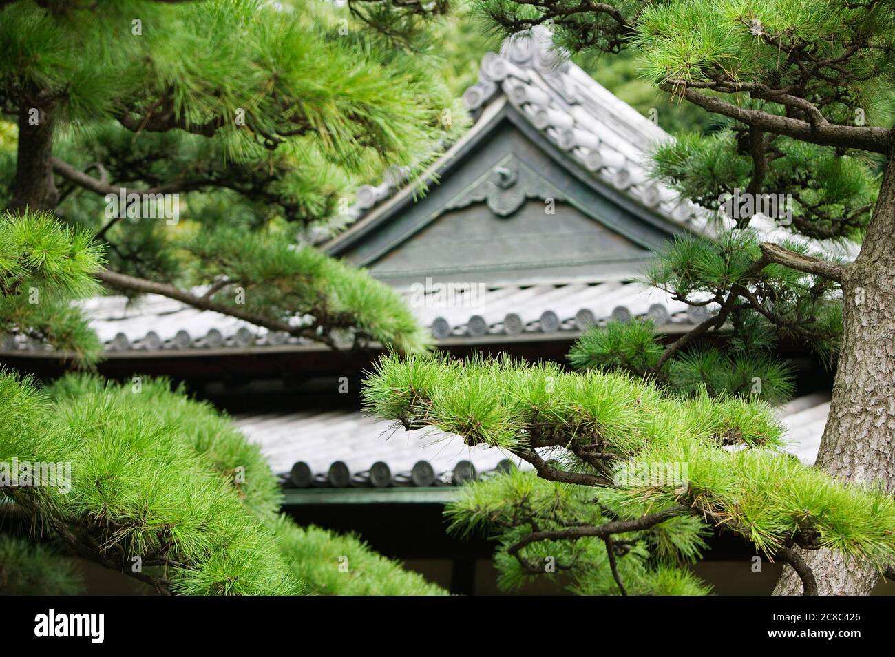 Traditional japanese house in bamboo forest Stock Photo Alamy