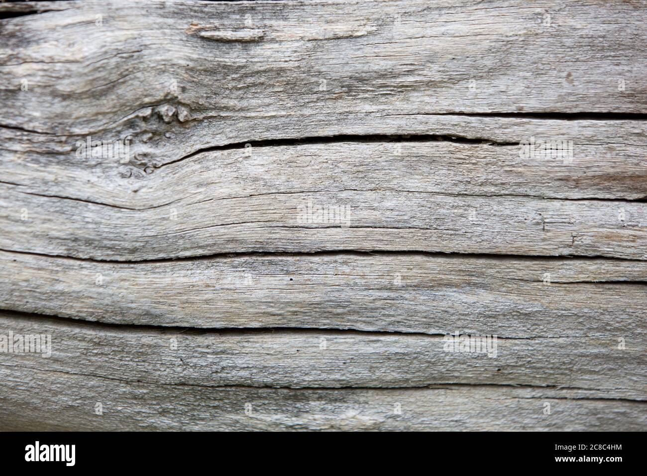 Close up of cracked wood background Stock Photo