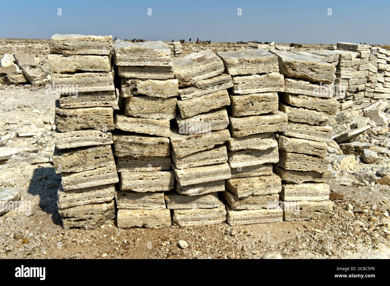 Salt slabs are ready for loading onto dromedaries, at Hamadela, Danakil Depression, Afar Region, Ethiopia Stock Photo