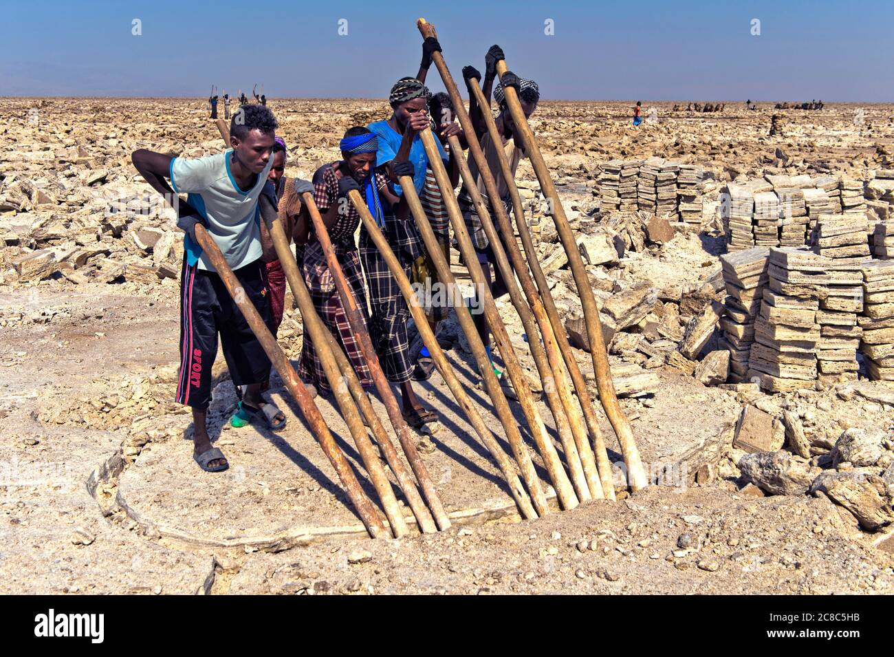 Salt workers breaking with wooden crowbars salt blocks from the salt crust of Lake Assale, near Hamadela, Danakil Depression, Afar region, Ethiopia Stock Photo