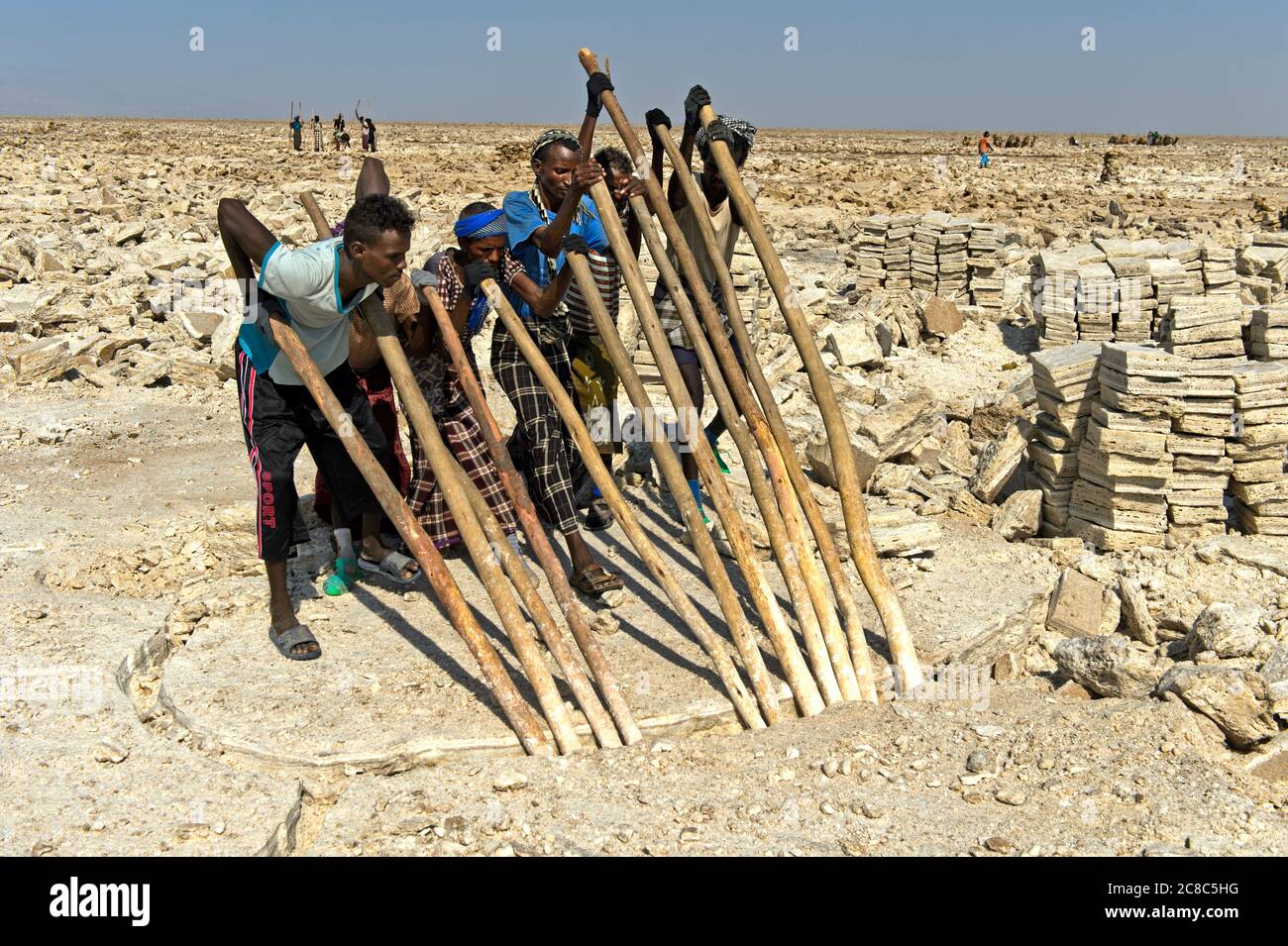 Salt workers breaking with wooden crowbars salt blocks from the salt crust of Lake Assale, near Hamadela, Danakil Depression, Afar region, Ethiopia Stock Photo