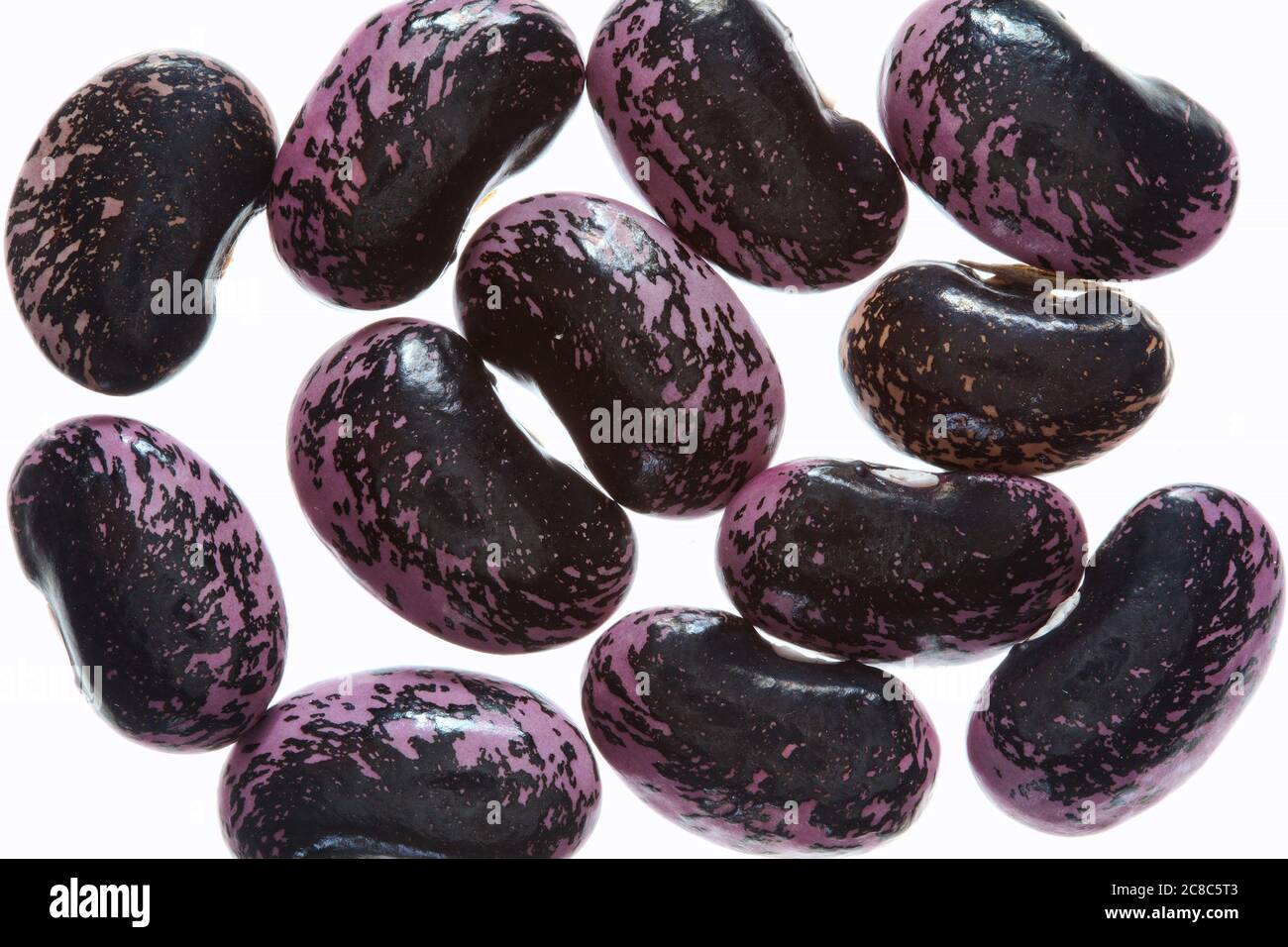 Scarlet Runner beans ( Phaseolus coccineus) red flower seeds background isolated on a white background stock photo Stock Photo