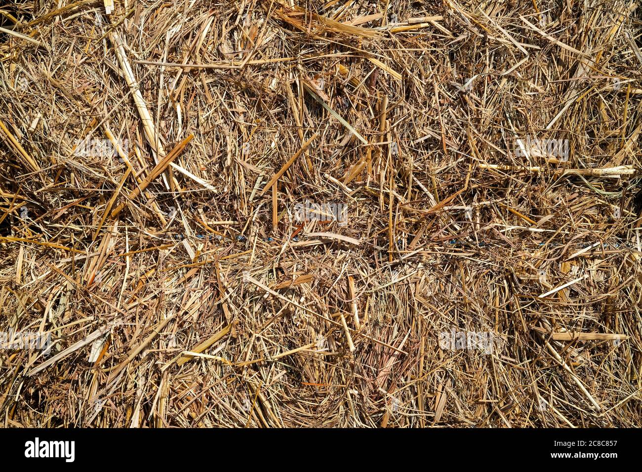 Closeup of a hay bale Stock Photo