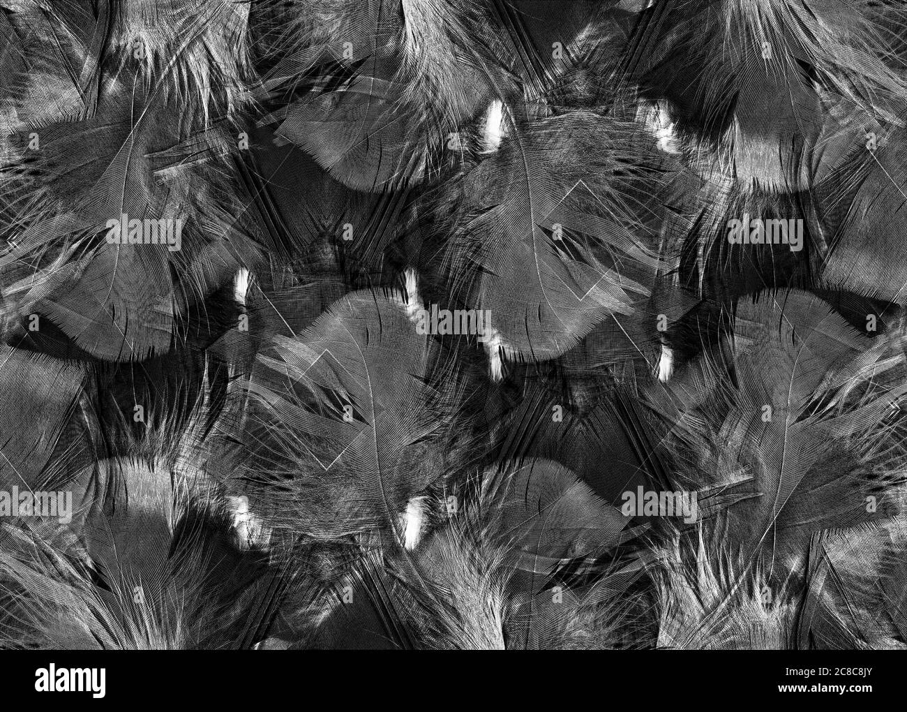 Abstract black and white feather texture background pattern stock photo ...