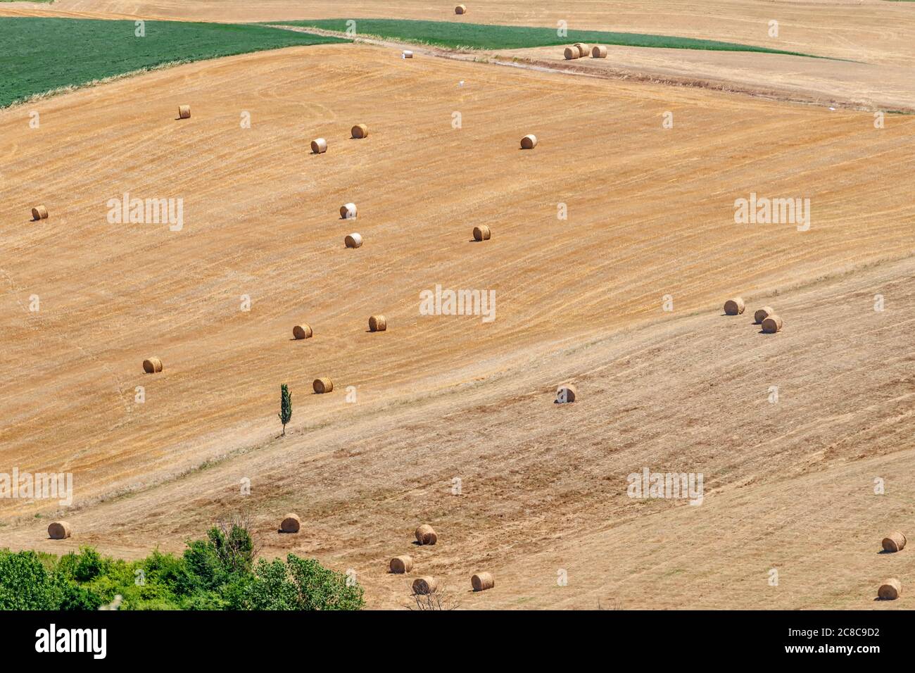 Italian hay roll hi-res stock photography and images - Alamy