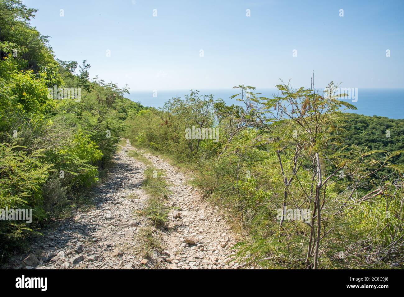 Goat hill trail up the hillside on the tropical island of St. Croix on the East End of the USVI Stock Photo
