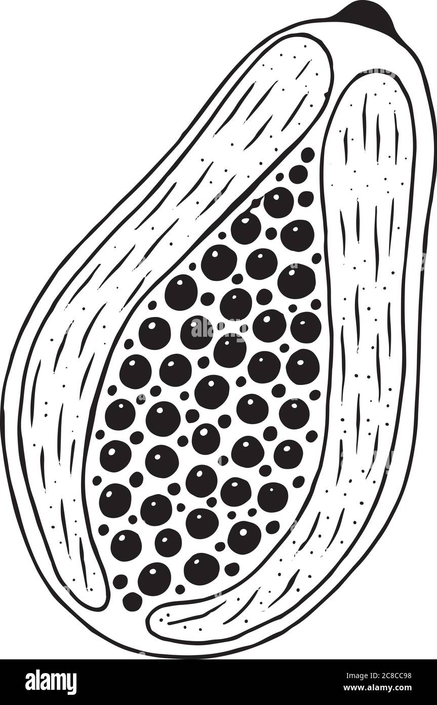 Papaya coloring page. Line art for coloring books for adults. Tropical and exotic food vector illustration Stock Vector