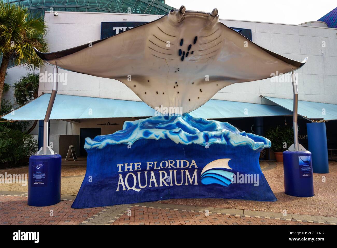 Tampa, Florida, USA - January 11, 2020 : Larga manta ray sculpture at the entrance to the Florida Aquarium, home to more than 7,000 aquatic plants and Stock Photo