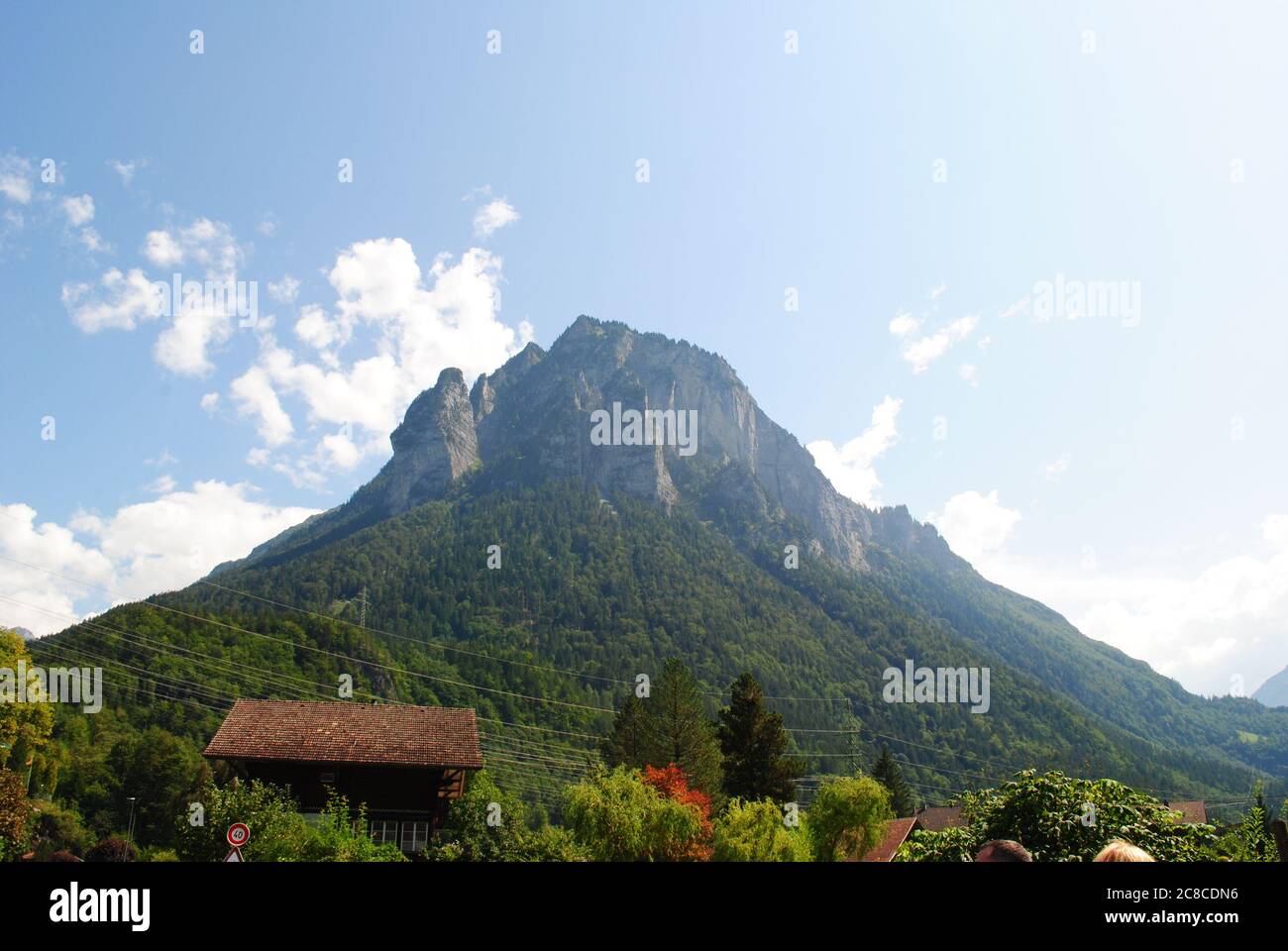 Swiss Mountain surrounded by Trees Stock Photo