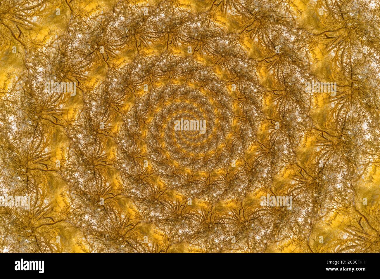 Tree structure and spirals in warm fall colors, digitally generated image Stock Photo