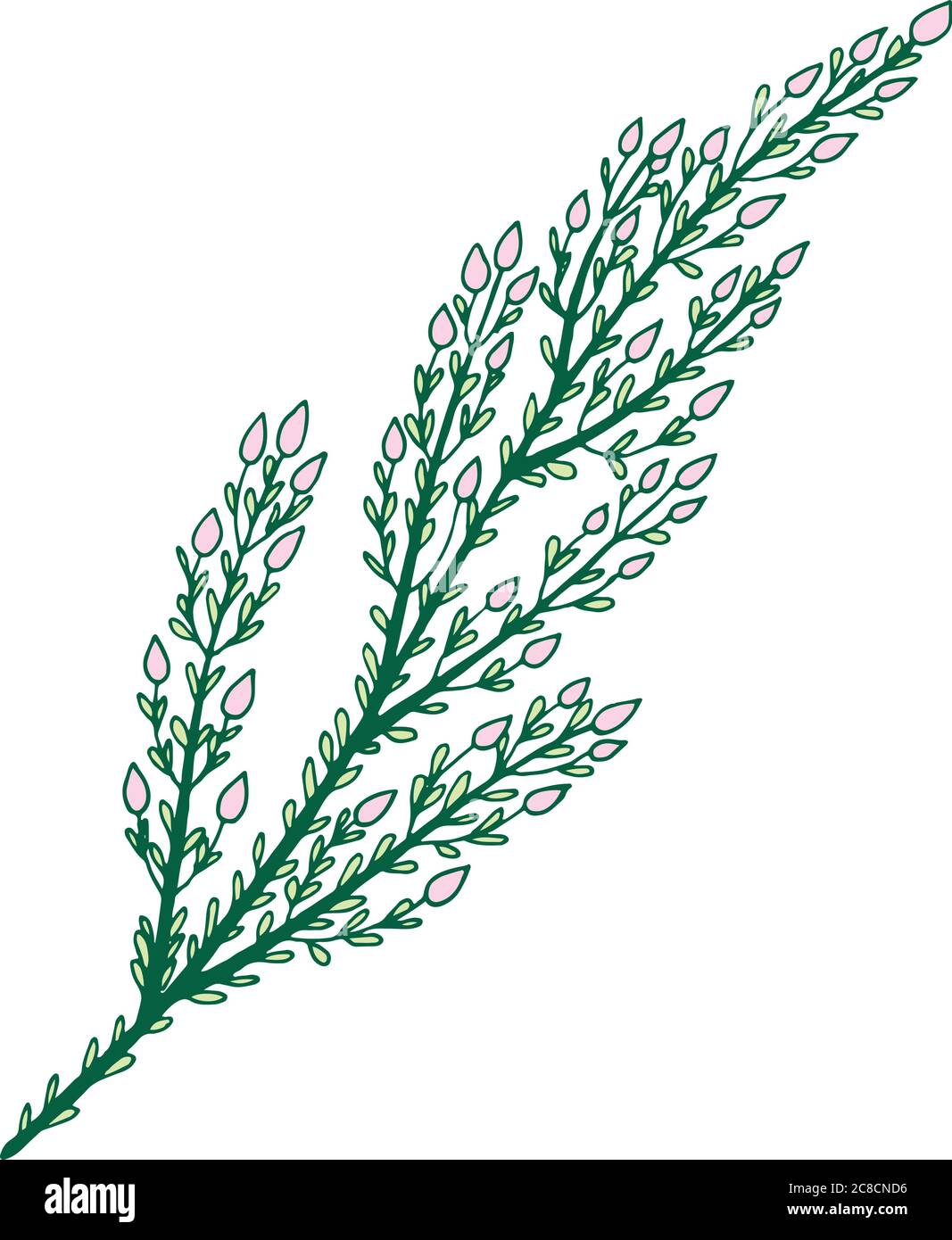 Heather branch - graphic line artwork. Isolated floral design el Stock Vector