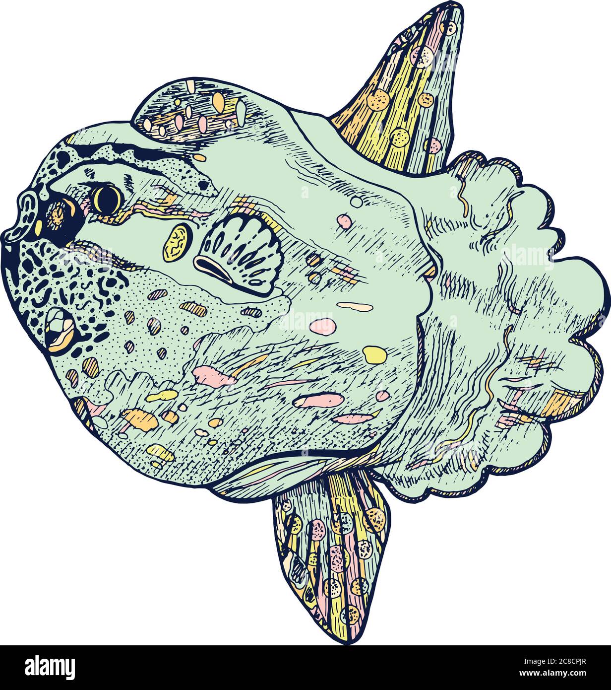Sunfish hand Stock Vector Images - Alamy