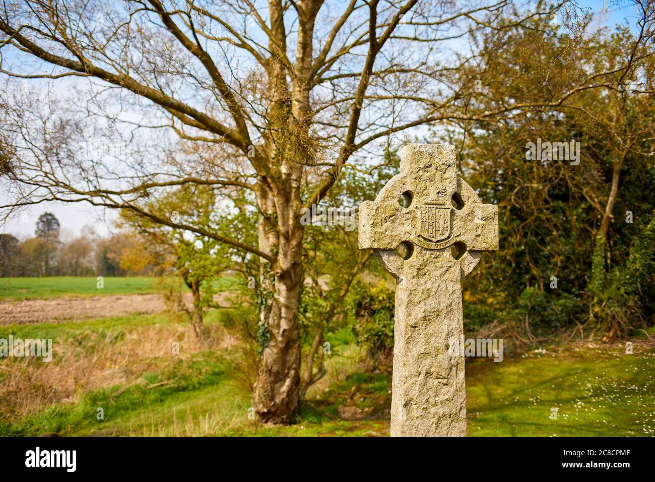 Celtric stone cross with shield emblem Stock Photo