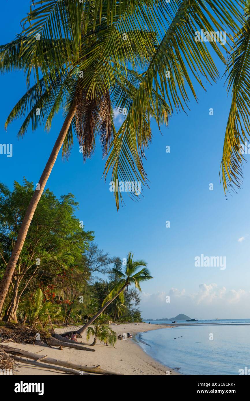 Sunset on a paradise tropical beach with palm trees Stock Photo - Alamy