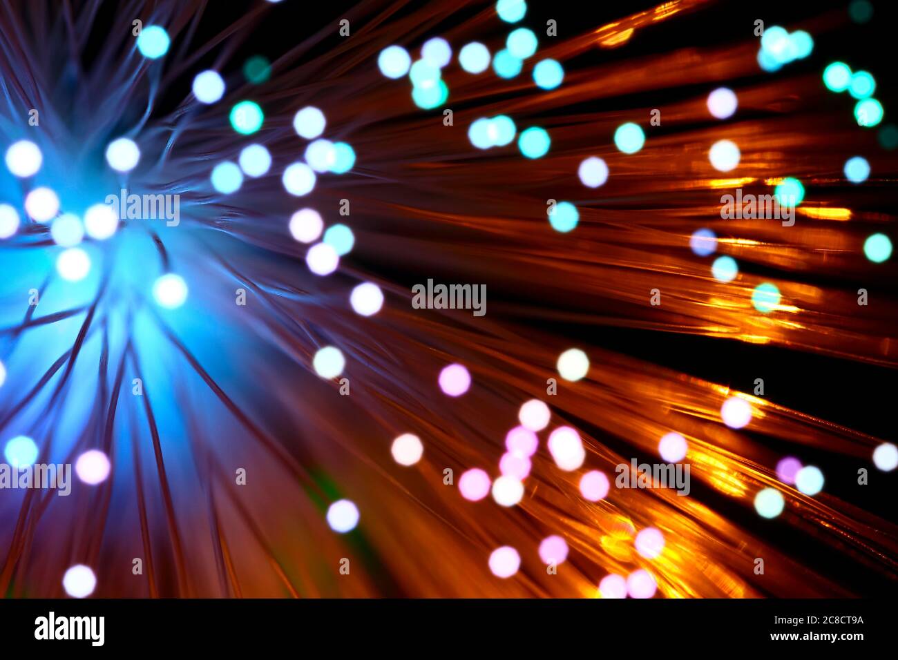 Fibre 2024 optic strands