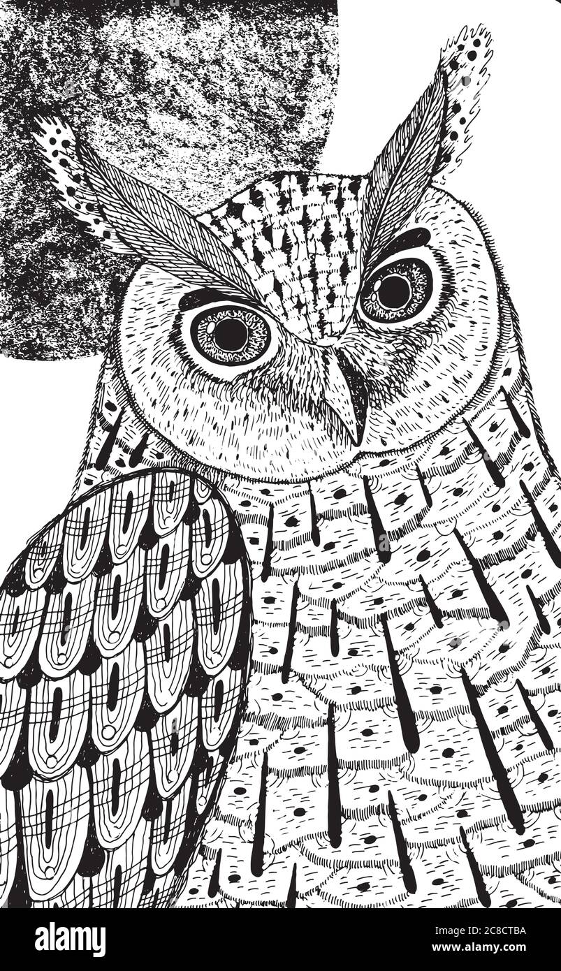 Decorative Owl on a Flowering Branch Coloring Book for Adults. Hand Drawn  Decorative Owl for the Anti Stress Coloring Page Stock Vector -  Illustration of abstract, drawn: 116211446