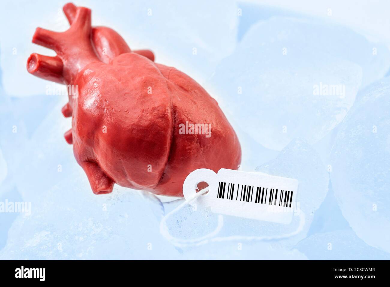 Human organ traffic, internal organs black market and illegal medical procedure concept theme with frozen donor heart with tag and barcode attached, p Stock Photo