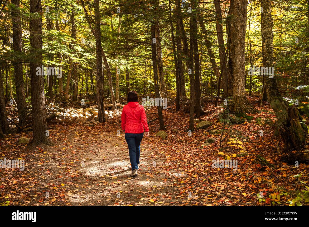 Woman walking alone hires stock photography and images Alamy