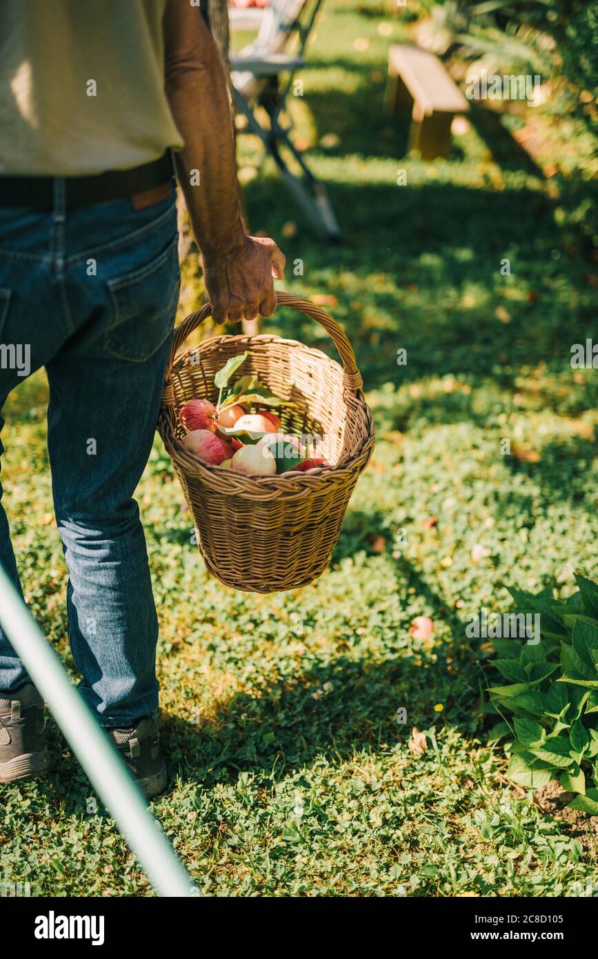 Mature male farmer carries hi-res stock photography and images - Alamy