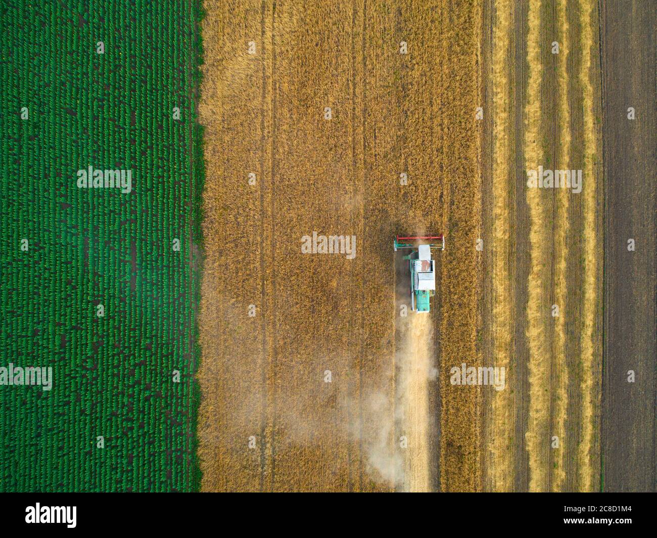 Ripe wheat field drone flying hi-res stock photography and images - Alamy