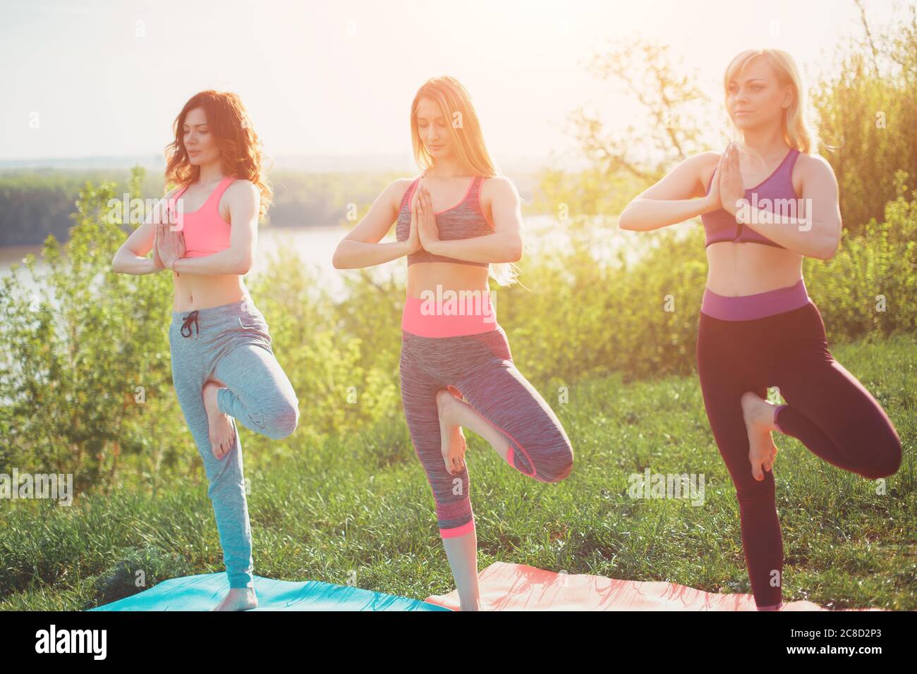 group of woman doing yoga Tree pose at park outside Stock Photo - Alamy