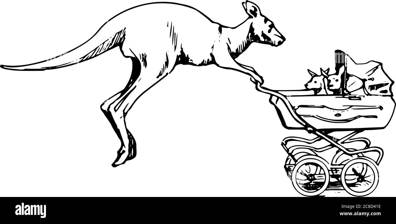 kangaroo pushchair