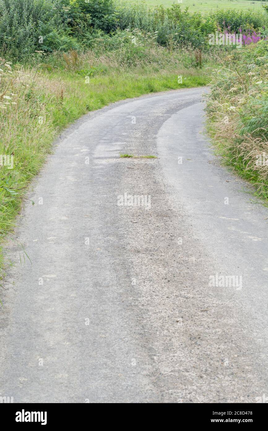 Typical cornish country road hi-res stock photography and images - Alamy