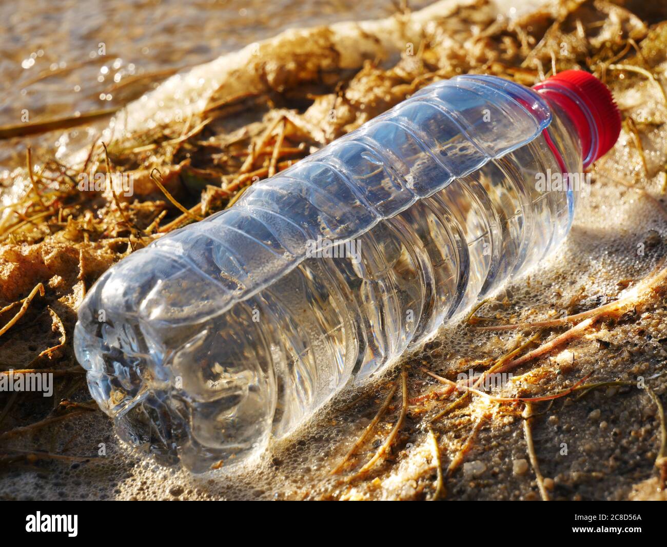 A photo that shows that we still need to educate people and take care of the planet Stock Photo
