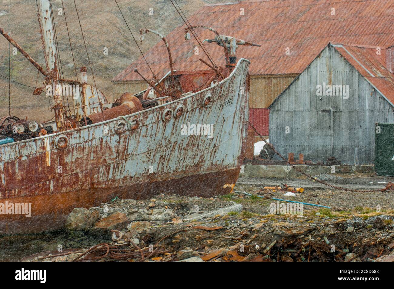 The beached whaling ship Petrel with a harpoon on the bow at the Norwegian whaling station in Grytviken on South Georgia Island, Sub-Antarctica. Stock Photo