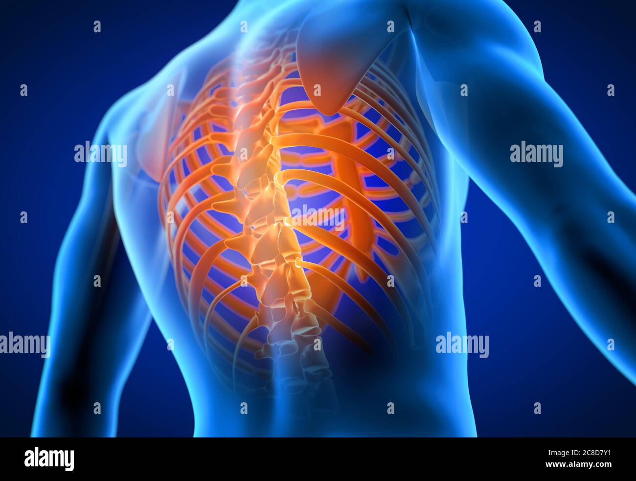 3d rendered medically accurate illustration of a man having a painful back. Stock Photo