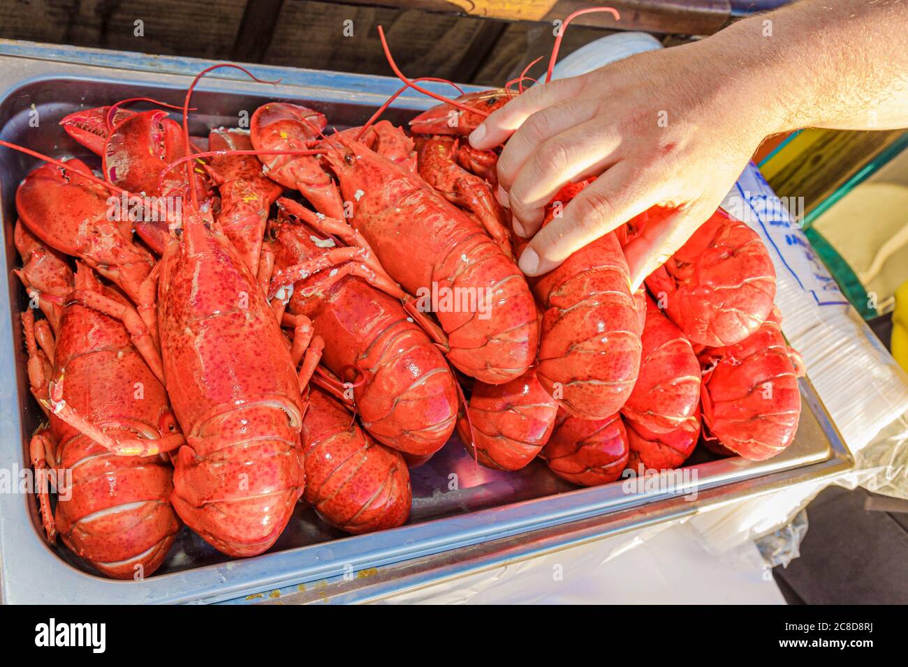Cocoa Beach Florida,Cocoa Beach Pier,hand,hands,food,outdoor,restaurant