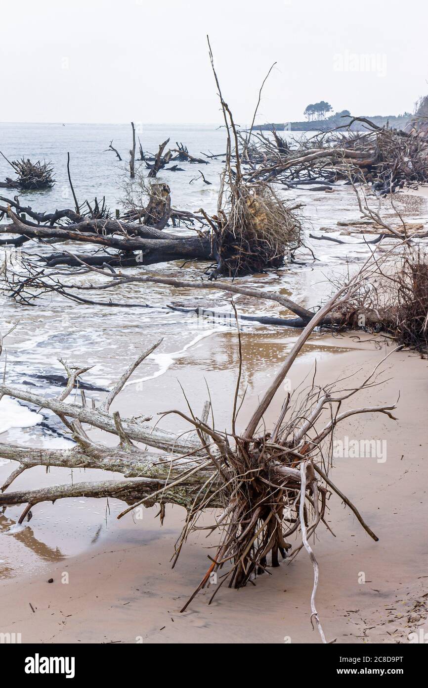 Jacksonville Florida,Big Talbot Island State Park,Atlantic Ocean water
