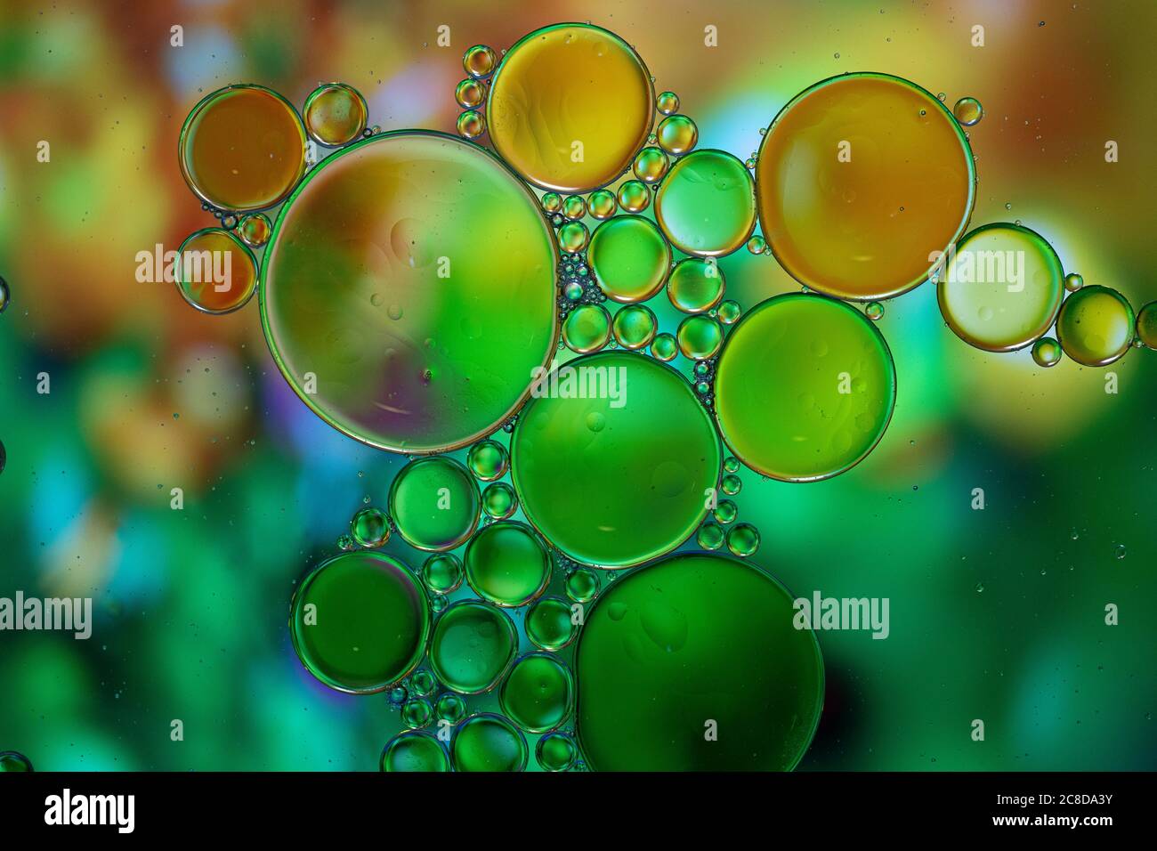 Abstract background with vibrant colours. Oil drops in water. Close colorful and artistic bubbles. Space pattern. Stock Photo