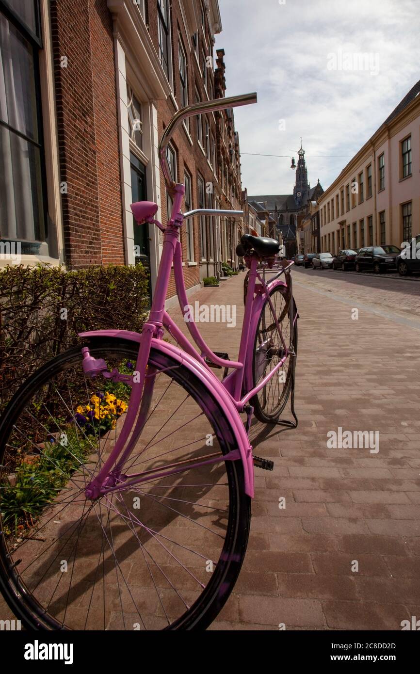 A close up view of a pink spray-painted vintage bike parked in a residential neighborhood in Amsterdam. Bicycle is operational with a dynamo and flash Stock Photo