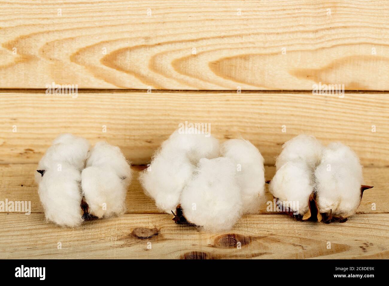 Cotton balls nobody hi-res stock photography and images - Alamy